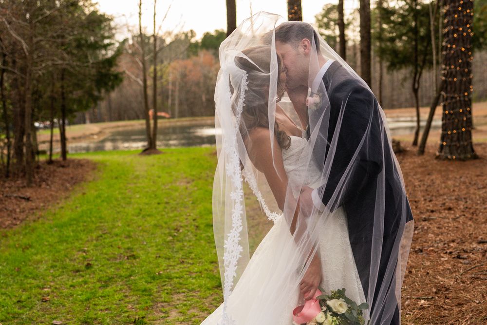 The couple backlit under the veil among the pines